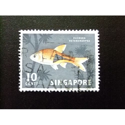 51 Singapore Singapour 1962 / Fauna Marina / Yvert 57 Fu