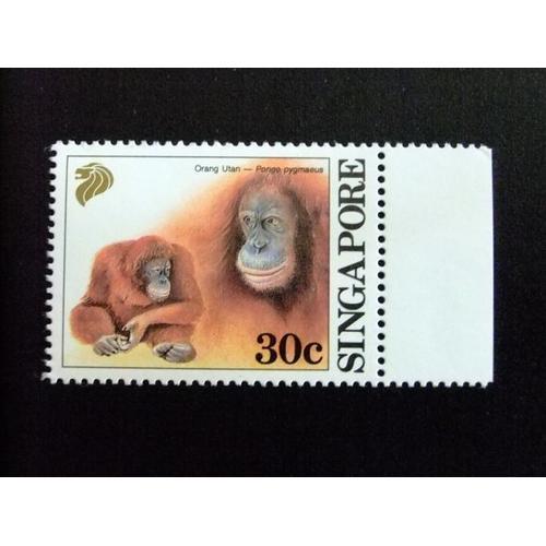 51 Singapour Singapour 1993 / Faune Mammifères / Yvert 656 ** Mnh