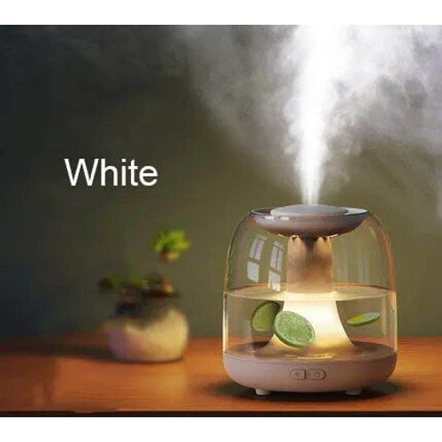 DMWD-Humidificateur d'air portable aste USB,humidificateurs électriques sans fil,diffuseur de brume fraîche,supporter ficateur de lampe de nuit - Type WHITE