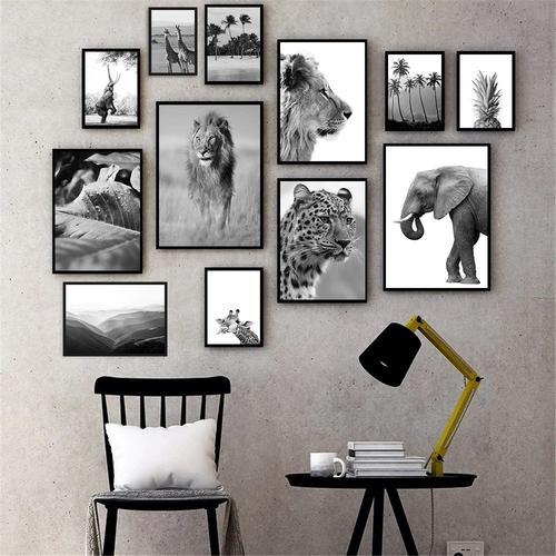 Affiches et imprim s de girafe l phant et Lion noir et blanc