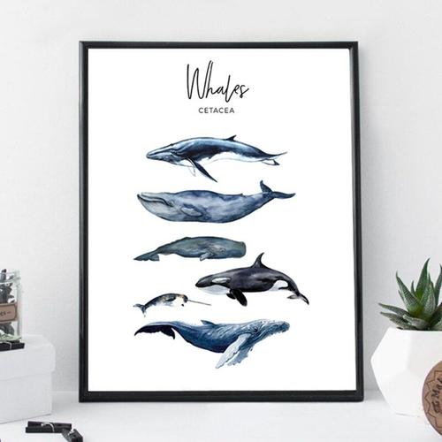 Peinture sur toile moderne avec baleine aquarelle, affiche d'art marin, image murale pour décoration de maison