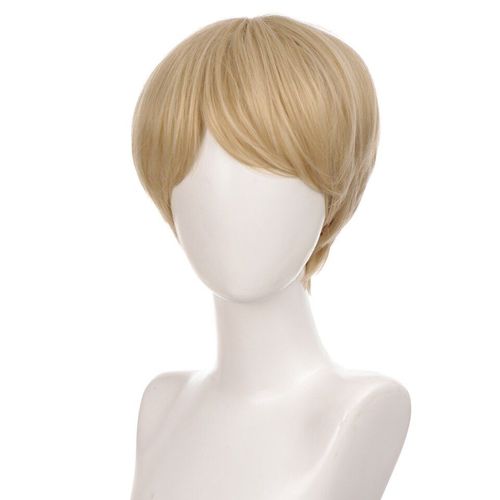 Perruque Synthétique Courte Et Lisse Pour Homme, Perruque De Cosplay, Résistante À La Chaleur, Deux Couleurs Au Choix, Usage Quotidien