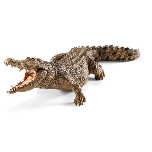 Wild Life Crocodile