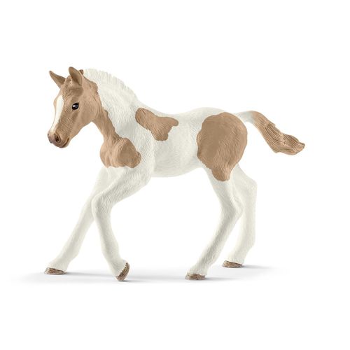 Horse Club Poulain Paint Horse