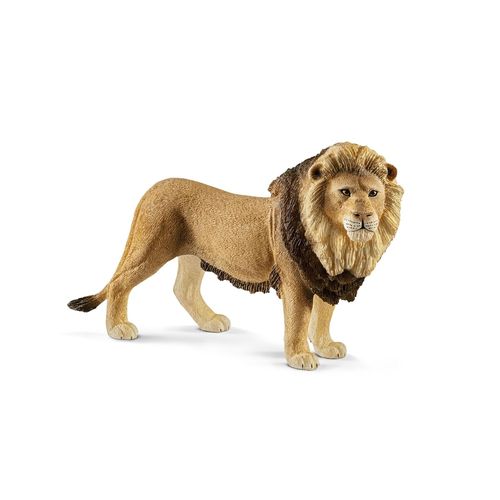 Wild Life Lion