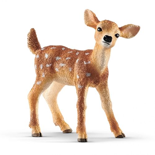 Wild Life Faon De Virginie