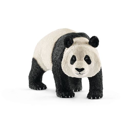 Wild Life Panda Géant, Mâle