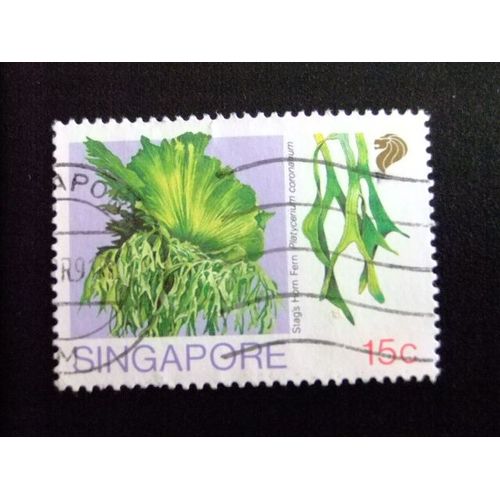 51 Singapour Singapour 1990 / Flore Platyceriumcoronarium / Yvert 594 Fu Sg 637 Fu