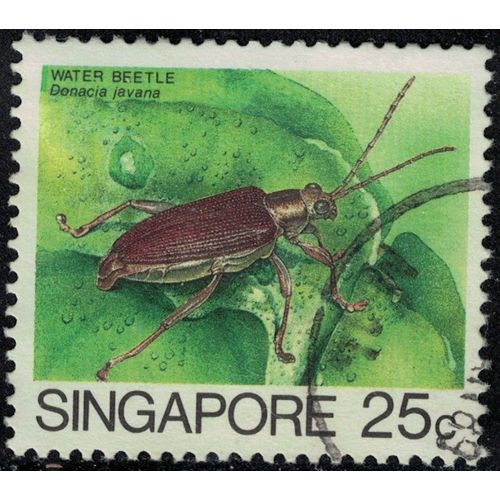 Singapour 1988 Oblitéré Used Insecte Donacia Javana Y&t Sg 459a Su