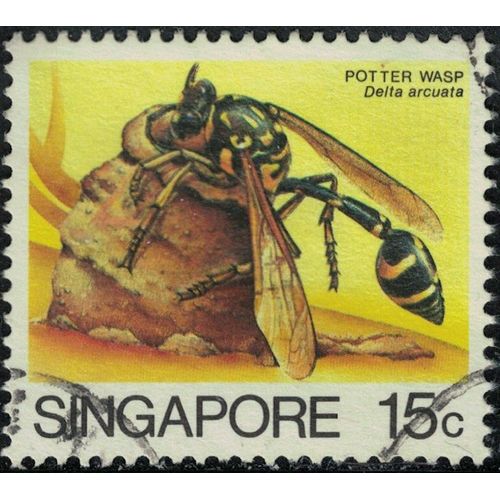 Singapour 1988 Oblitéré Used Insecte Delta Arcuata Su