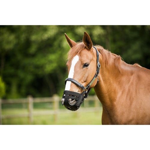 Panier Muselière Norton Pour Cheval
