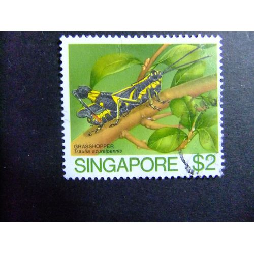 51 Singapore Singapour 1985 / Fauna (Traulia Azureipennis) / Yvert 464 Fu Sg 500 Fu