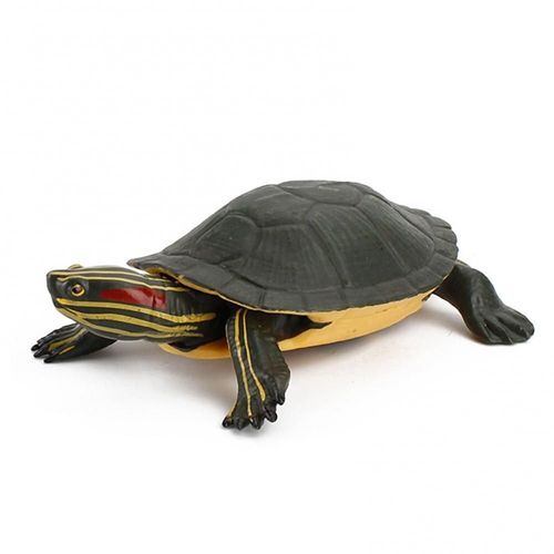 Figurines De Dessin Animé Pour Enfants, Jouet, Simulation D'Animaux, Tortue, Ornement De Bureau, Poupée Modèle Éducatif