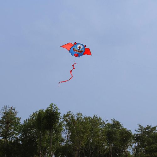 Cerf-Volant Monstre Durable, Jardin Géant Avec Ligne De 20 Mètres Pour Enfants Et Adultes, 58x23 Pouces