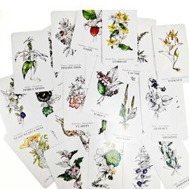 Jeu De Cartes Oracle Botanique, Meilleure Vente, Haie Sorcière, 40 Pièces, Wisdom From The Frontier Land, Tarot Deck, Avec Guide Pdf, Nouvelle Collection