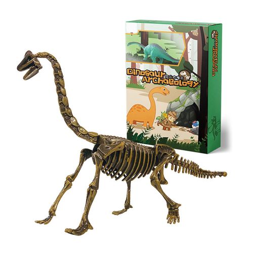 Kit D'Excavation De Dinosaures 3d Avec Outils De Creusement, Modèle De Puzzle Squelette De Dinosaure Pour Festival Et Anniversaire