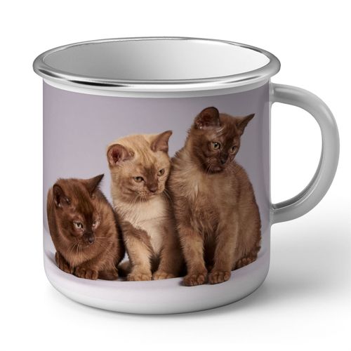 Mug En Métal Emaillé Bebe Chats Siamois Persan Poils Longs Chat Trio Mignon