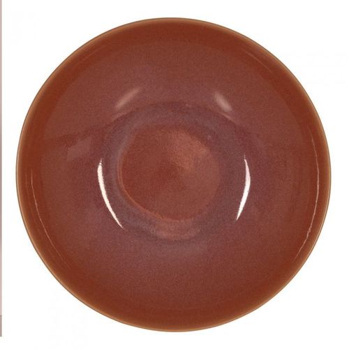Assiette À Pâtes Terra 22 Cm (Lot De 6)