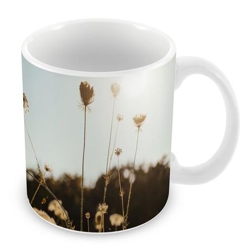 Mug Céramique Tasse Photo Nature Daucus Carota En Fleur Été Contre-Jour