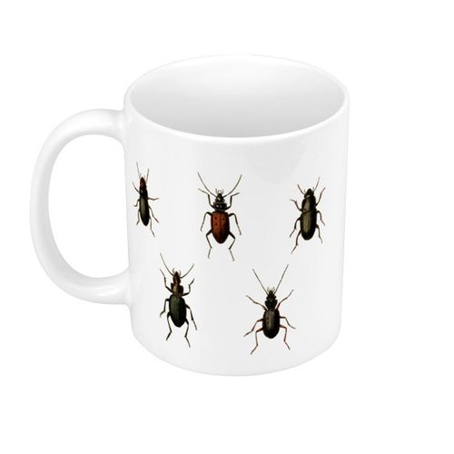 Mug Céramique Insectes Minimaliste Biologie Illustration Ancienne