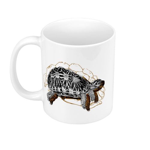 Mug Céramique Tortue Minimaliste Biologie Illustration Ancienne
