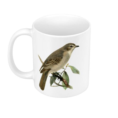 Mug Céramique Oiseau Perché Planches Biologie Faune Illustration Ancienne