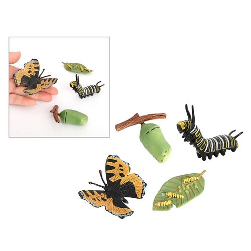 Figurine D'Insecte Papillon, Cycle De Vie, 4 Pièces, Montre La Vie D'Une Dame