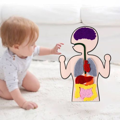 Jeu D'Éveil De La Cognition Des Organes Humains Montessori, Puzzle Interactif, Apprentissage Des Parties Du Corps, Cadeau De Noël Pour Garçon Et Fille
