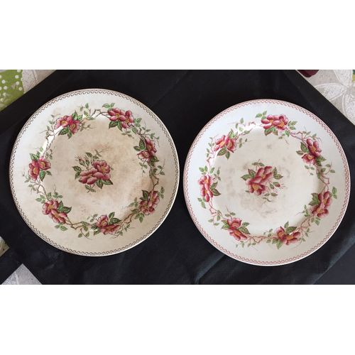 Assiettes À Dessert Sarregumine U & Cie Eglantier