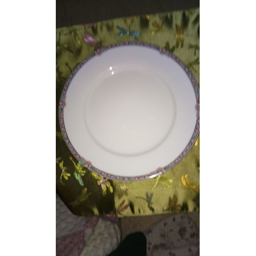 10 Assiettes Porcelaine Limoges