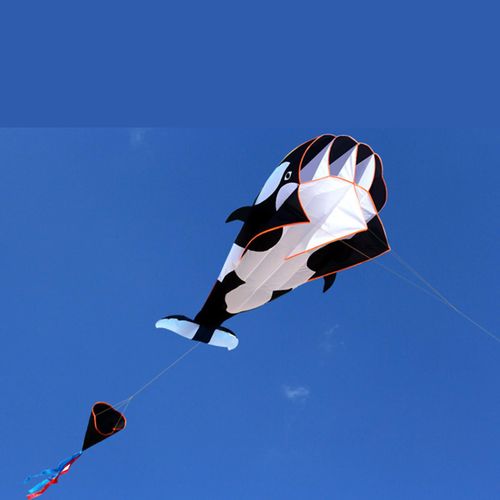 Cerf-Volant De Plage En Forme De Baleine Géante, 30m, Avec Ficelle, Sans Cadre, Pour Voyage En Plein Air, Jardin, Plage, Jouet De Sport, Idée Cadeau Pour Enfants