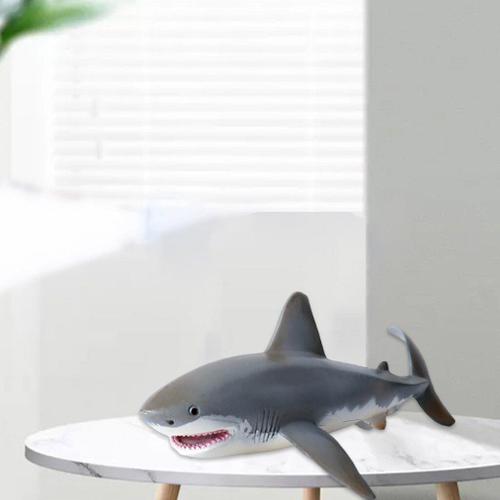 Figurine De Requin Blanc, 1 Pièce, Simulation De La Vie En Mer, Jouets Réalistes