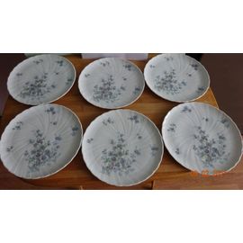 Assiettes En Porcelaine De Limoges