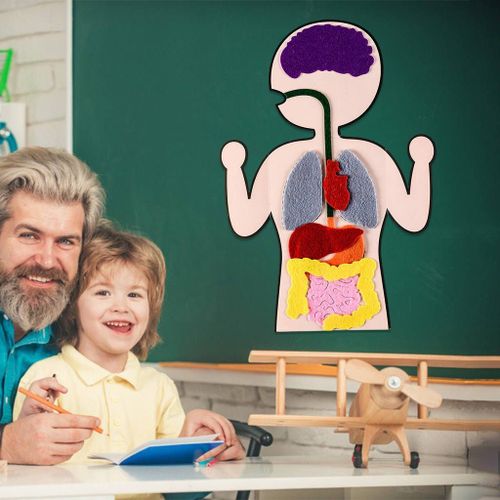 Outil De Cognition Des Organes Humains, Bricolage Interactif Pour Cadeau De Noël Pour Enfants Âgés De 3 Ans Et Plus