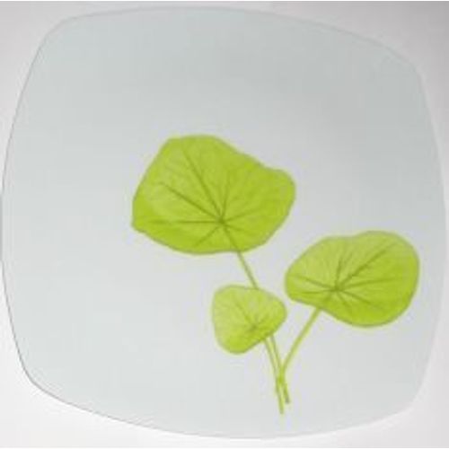 Lot De 6 Assiettes En Plastique Rigide Blanc Et Motif Feuilles Vertes