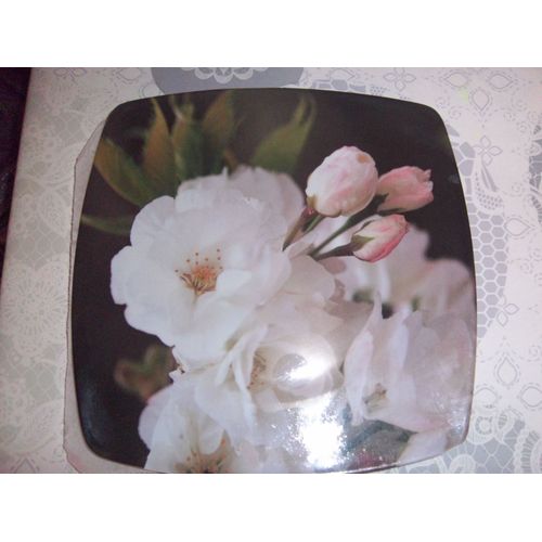 Assiettes Plastiques