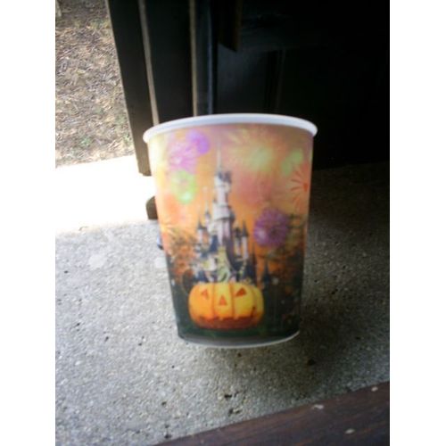 Verre Disneyland