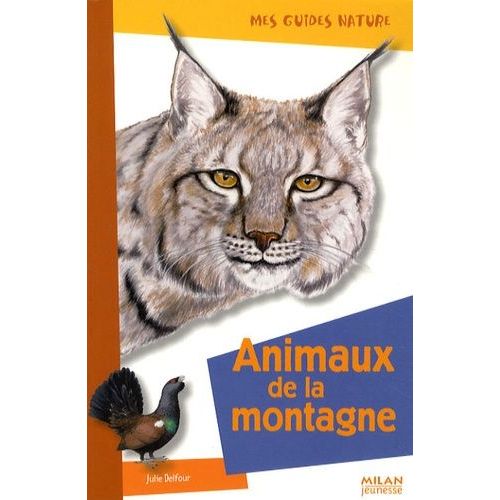 Animaux De La Montagne