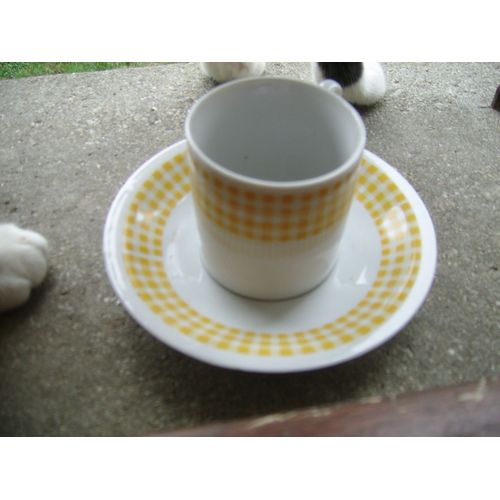 Tasse Et Sous Tasse " Queen Victoria 1881"