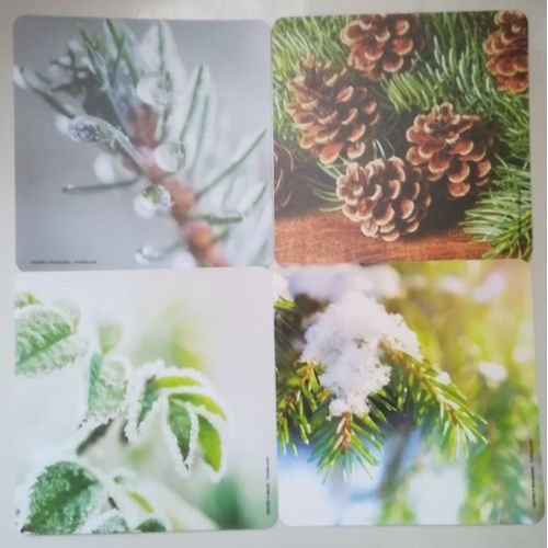 Lot De 4 Dessous De Verre Carré Photo Nature