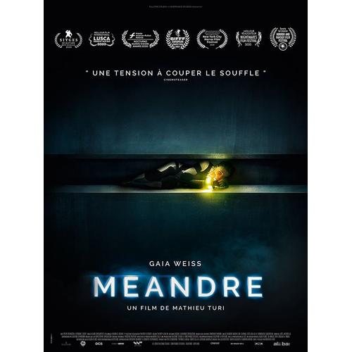 Méandre - Véritable Affiche De Cinéma Pliée - Format 120x160 Cm - De Mathieu Turi Avec Gaia Weiss, Peter Franzen, Eva Niewdanski, Corneliu Dragomirescu - 2021