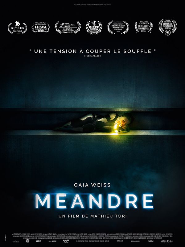 Méandre - Véritable Affiche De Cinéma Pliée - Format 40x60 Cm - De Mathieu Turi Avec Gaia Weiss, Peter Franzen, Eva Niewdanski, Corneliu Dragomirescu - 2021