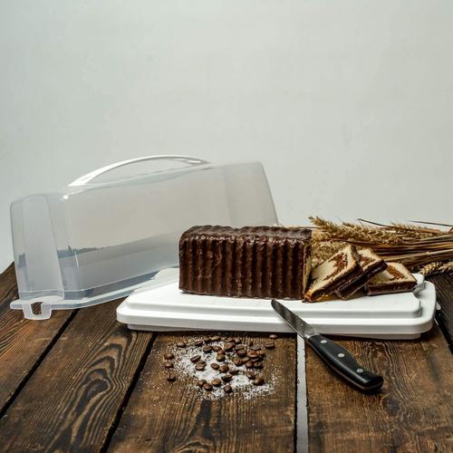 Rotho Boîte À Gâteau Rectangulaire Et Haute Plastique Blanc 36 X 16,5 X 16,5 Cm