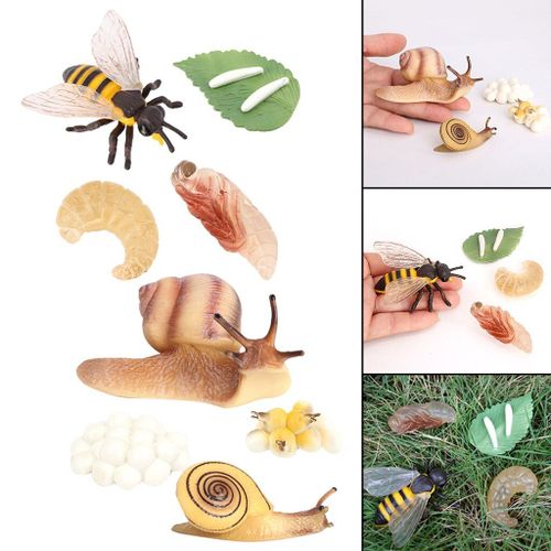 Jouets Figurines D'Animaux De Simulation Pour Enfants, Jeu De Processus De Croissance D'Escargot D'Abeille, Jeu Éducatif Précoce Pour Enfants, Outils D'Enseignement De La Nature
