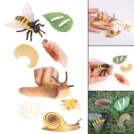 Jouets Figurines D'Animaux De Simulation Pour Enfants, Jeu De Processus De Croissance D'Escargot D'Abeille, Jeu Éducatif Précoce Pour Enfants, Outils D'Enseignement De La Nature