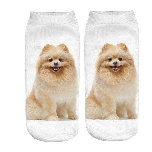 Chaussettes Unisexe Pour Enfants De 8 À 16 Ans, Design De Chien, Bas À Cheville Bas, Chaussettes Amusantes Pour Garçons Et Filles, À La Mode