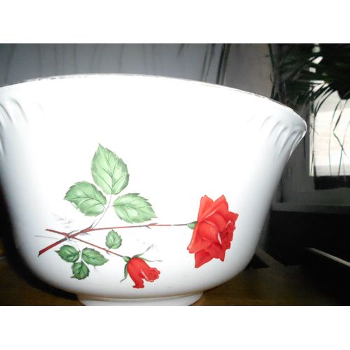 Superbe Saladier Décor Roses Digoin