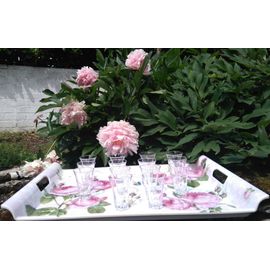 14 Verres À Liqueur Élégants Et De Belle Qualité
