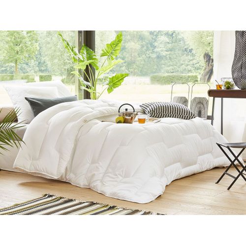 Couette Légère Colas Normand Anti Acariens 240x260cm