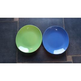 Lot De 2 Assiettes À Steack Verte Et Bleue